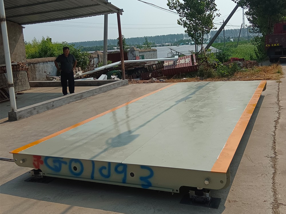 項(xiàng)城小師莊3