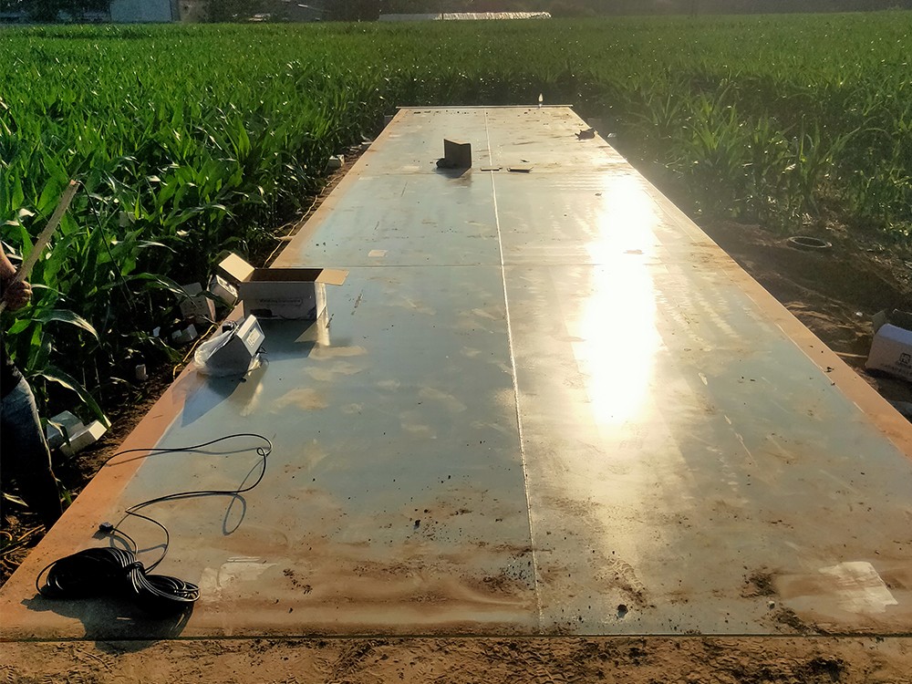 菏澤聶付莊糧庫4